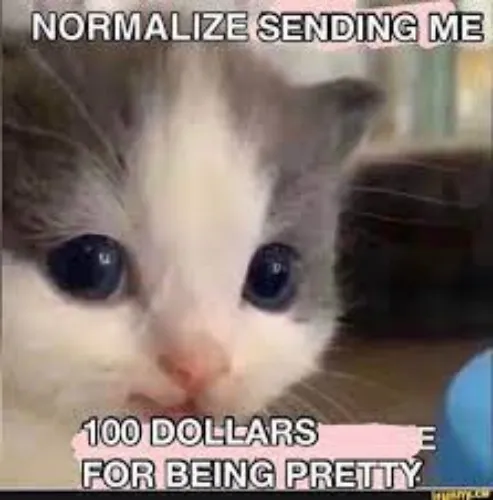 100 dollars because i'm pretty