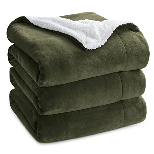 Bedsure Sherpa Fleece Bed Blankets Queen Size - Ivy Green Thick Fuzzy Warm Soft Large Queen Blanket for Bed, 90x90 Inches - Queen (90" x 90") - Ivy Green