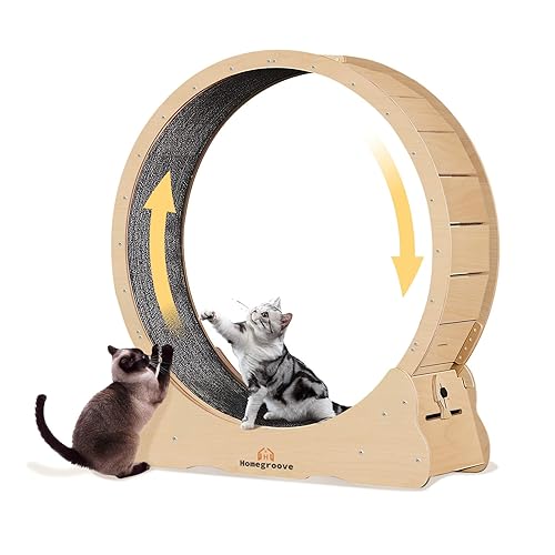 Homegroove Cat Exercise Wheel for Indoor Cat, 45" Large XL Cat Running Wheel with Carpeted Runway, Cat Treadmill Wheel for Kitty’s Longer Life, Cat Wheel for Fitness Weight, Natural Wood Color(XL) - XL - Natural Wood
