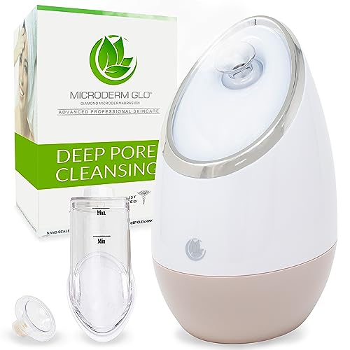 Facial Steamer 