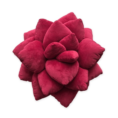 Lil' Pop Succulent® - Crimson Red | Default Title