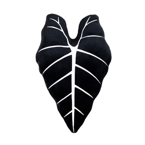 Alocasia Frydek - Obsidian | Default Title
