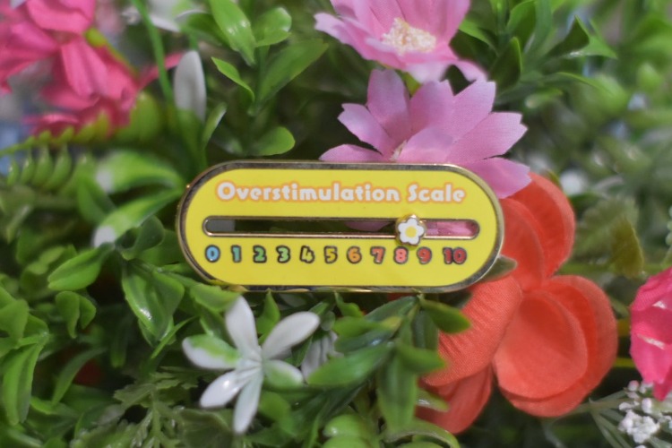 Sliding Overstimulation Scale Pin - In Stock