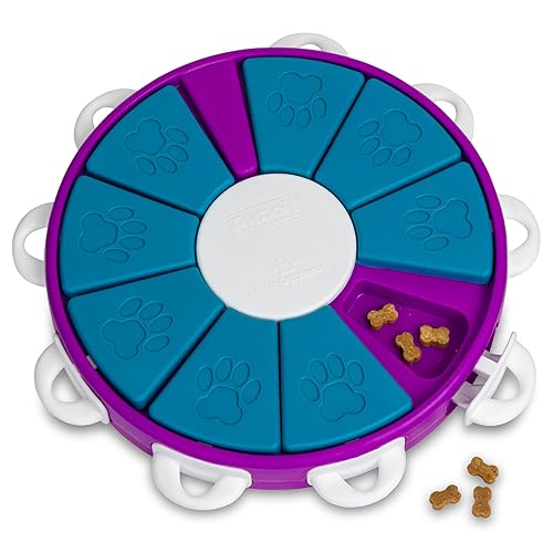 Outward Hound Nina Ottosson Dog Twister Dog Puzzle Interactive Treat Puzzle Dog Enrichment Dog Toy, Level 3 Advanced, Purple - Dog Twister (Purple, Blue)