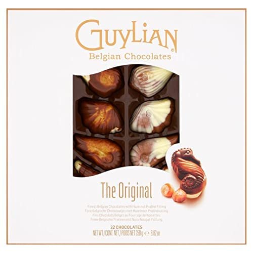 Azriel Guylian Belgian Chocolates Seashells Gift Box -22 Shells Chocolate Gift, 250 g (Pack of 1)