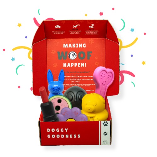 Surprise Box of Super Durable Dog Toys - 6