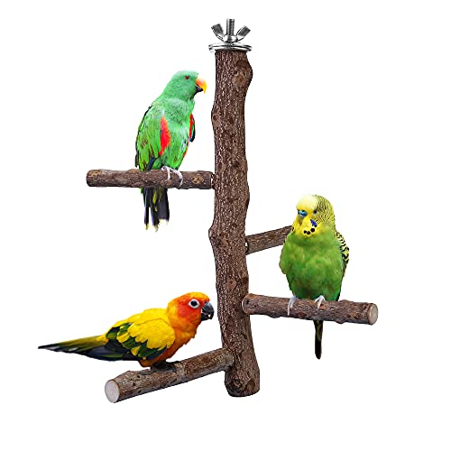 Filhome Bird Perch Stand Toy, Natural Wood Parrot Perch Bird Cage Branch Perch Accessories for Parakeets Cockatiels Conures Macaws Finches Love Birds (M: 10" Length) - STYLE 2: 25cm