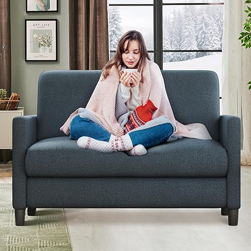 Welzona Loveseat Sofa, 51" Love Seat, Comfy Teddy Small Loveseat for Small Spaces, Tool-Free Setup Small Couch for Bedroom, All-Wood Small Couches for Small Spaces, No Pillow Include, Blue Grey - Blue Grey - 51"