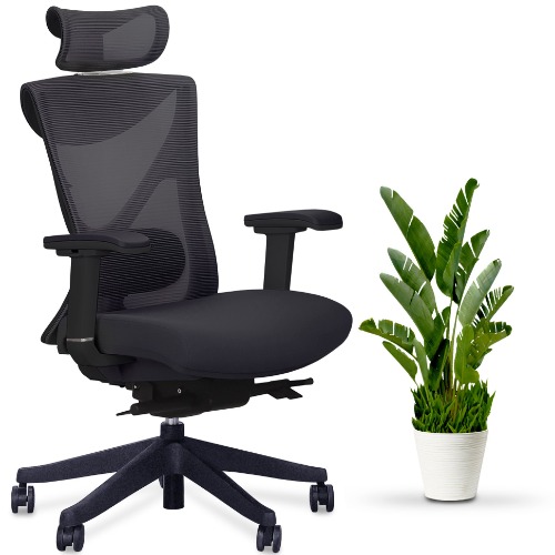 KaiChair - Ergonomic Office Chair - Black