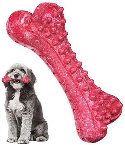 Bone dog toy