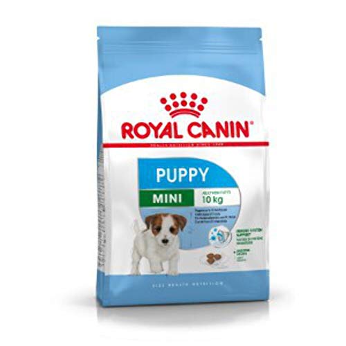 MAKI FOOD! Royal Canin Mini Puppy | 2 kg 