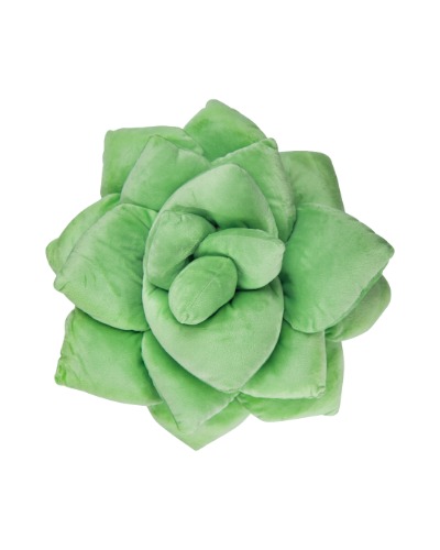 Lil' Pop Succulent®  - Sage Green | Default Title