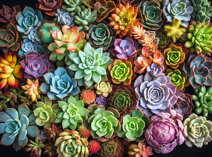 Cross & Glory - Succulent Symphony - 1000 Piece Jigsaw Puzzle for Adults | Premium Quality | Colorful Artwork Puzzle | Brain Teasing Fun & Perfect Wall Art - Succulent Symphony