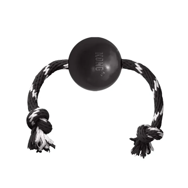 KONG Extreme Black Ball w/Rope Dog Toy - Large (Pack of 1)