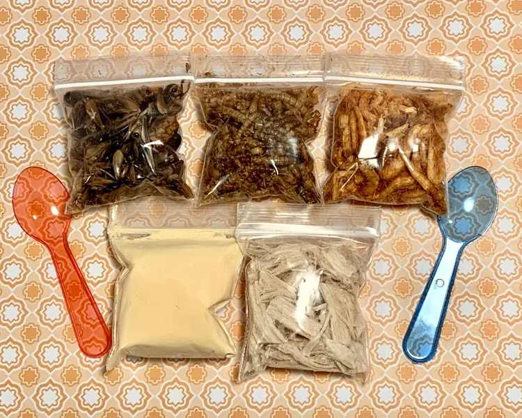 Hermit Crab Protein Pack Hermit Crab Food