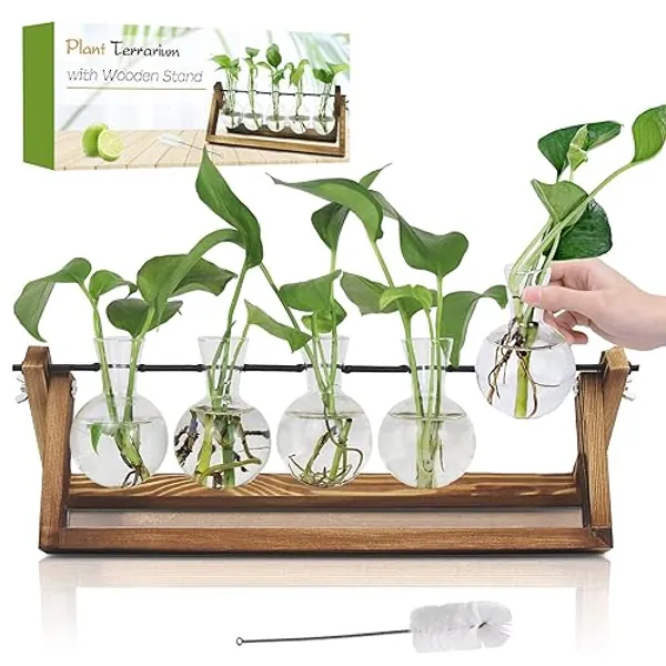 Renmxj Plant Propagation Station, Propagation Vases for Plants, Unique Gardening Birthday Gifts for Women Plant Lovers Mom Best Friend - 5 Bulb Glass Vases - 5 Bulb Vase