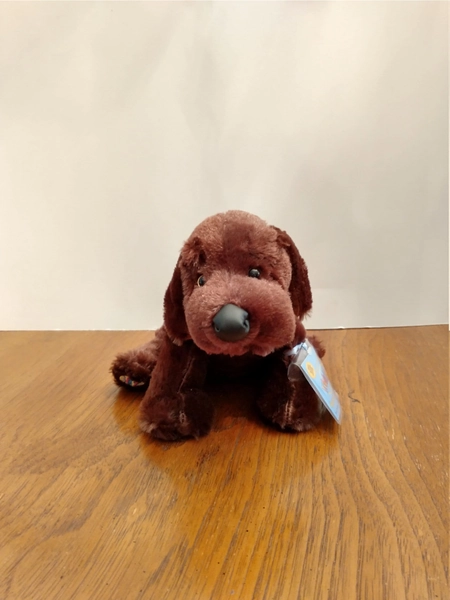 Webkinz Chocolate Lab HM 138/ Brand New With Sealed Code