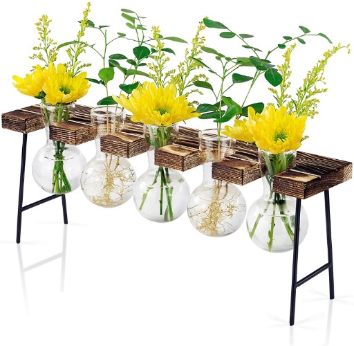 Tabletop Plant Propagation Station - Five Bulb Vases