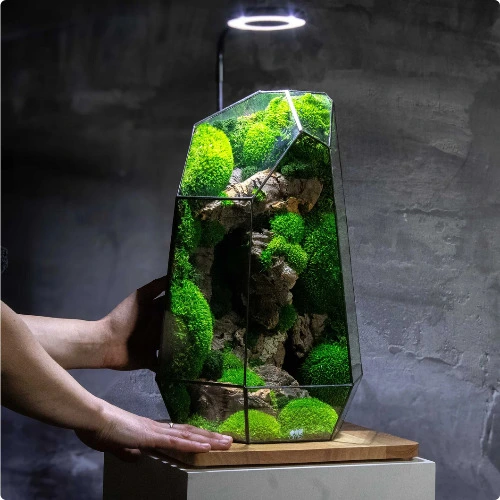 Geometric Terrarium | Prism | Desktop Mossarium Centrepiece | Preserved Moss Art Terrarium | Crafts for Adults