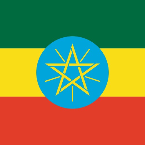 Ethiopian Coffee - Light / 16 oz