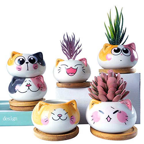 YINUOWEI Succulent Pots with Drainage 3.6 Inch Mini Cat Pots for Plants Tiny Animal Planter Small Ceramic Air Plant Flower Pots Cactus Faux Planters Containers with Bamboo Tray - Cats