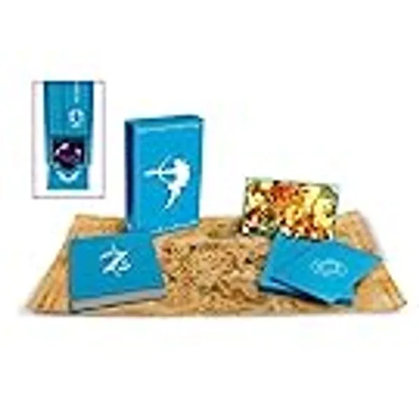 The Legend of Zelda: Breath of the Wild-Creating a Champion Hero's Edition