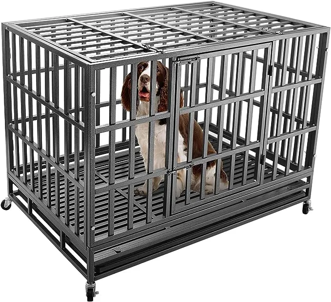 New Kennel for Sophie