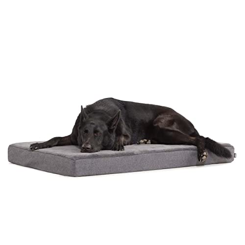 Barkbox Memory Foam Platform Dog Bed | Plush Mattress for Orthopedic Joint Relief (X-Large, Grey) - X-Large - Grey