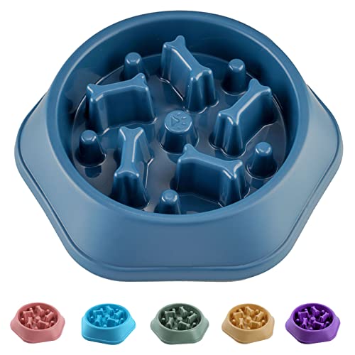 CAISHOW Slow Feeder Dog Bowl Anti Gulping Healthy Eating Interactive Bloat Stop Fun Alternative Non Slip Dog Slow Food Feeding Pet Bowl Slow Eating Healthy Design for Small Medium Size Dogs（Blue，Bone - A.Blue