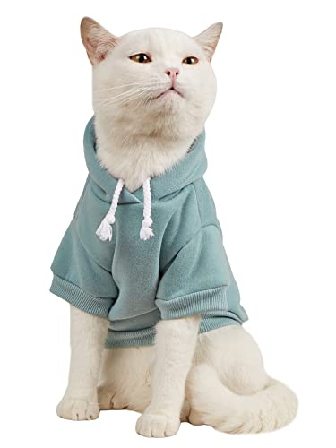 QWINEE Basic Dog Hoodie, Dog Warm Jacket, Cat Apparel, Dog Shirt, Dog Clothes for Puppy Kitten Small Medium Dogs Cats Cadet Blue M - Medium - Cadet Blue