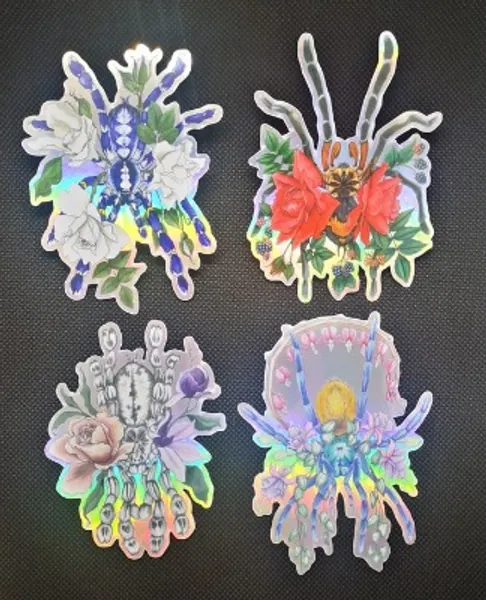 Tarantula Sticker Vinyl Die-cut Transparent Background | Etsy Canada