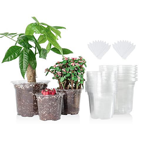 36 Packs 5/4/3.5 Inch Reinforced Clear Nursery Pots with Drainage Hole, Transparent Variety Pack Plastic Plant Pot Seedling Planter Seed Starter Flower 20pcs Labels - 36 PACK