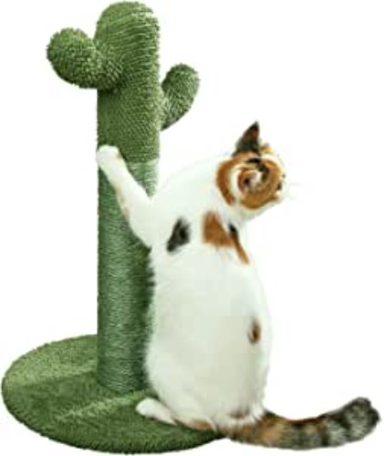 PetnPurr Cactus Cat Scratcher – Protect Your Furniture with Our Natural Sisal Cat Scratching Post with Teaser Ball Cat Toy - 25.6" STANDING