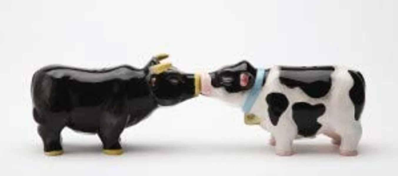 Pacific Giftware 1 X Kissing Cow & Bull Salt & Pepper Shaker Set S/P - 