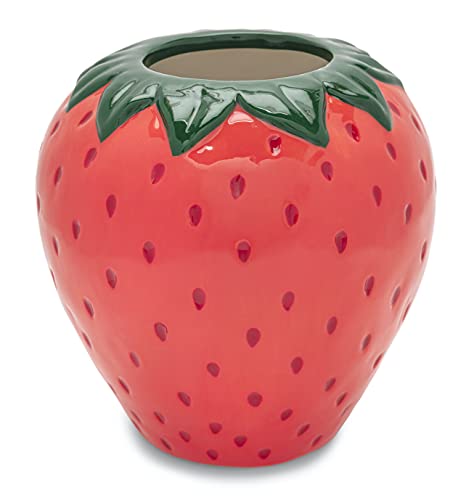 ban.do Vintage Inspired Decorative Ceramic Vase, Unique Home/Kitchen/Office Accent Decor, Strawberry Fields