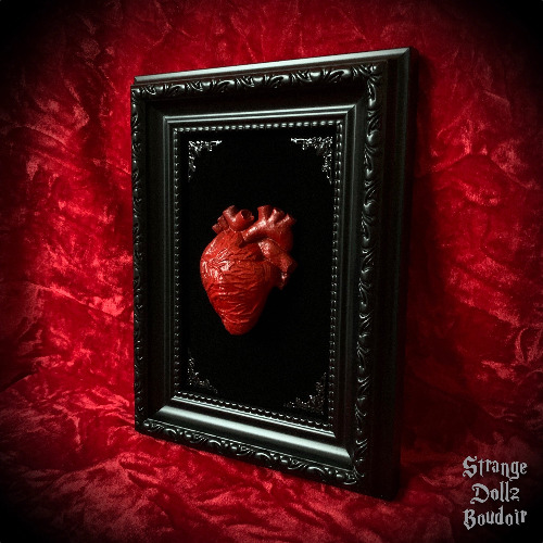 Anatomical heart frame, gothic home decor, anatomy frame, black and red decor