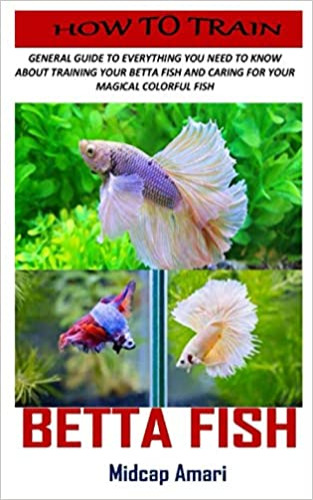 HOW TO TRAIN BETTA FISH: General Guide To Everything You Need To Know About Training Your Betta Fish And Caring For Your Magical Colorful Fish - Paperback