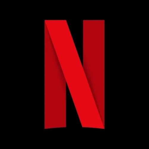 1 year Netflix