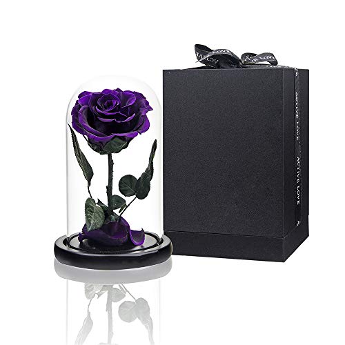 Preserved Rose Purple Real Rose in Glass Dome, Roses Never Withered Flower Gifts for Her, Valentine's Day, Mother's Day, Birthday, Christmas Medium - Purple - Medium