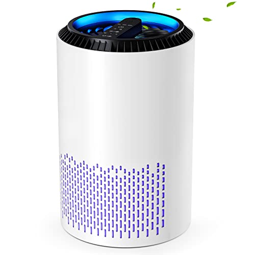 CONOPU Air Purifier for Home Bedroom with Hepa H13 99.97% Filter, Air Cleaner portable for Allergies, Dust, Odors, Pet, Pollen - White