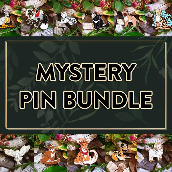 Mystery Pin Bundle - 3 Pack - 2 inch Hard Enamel Pins