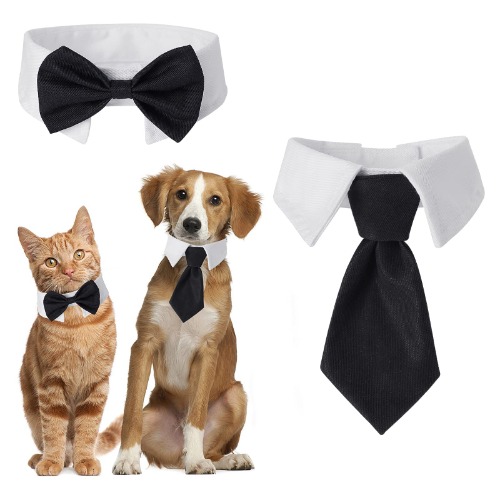 CAT TIE