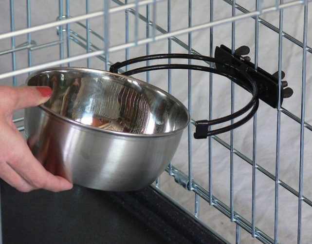 Dog bowl for Amber