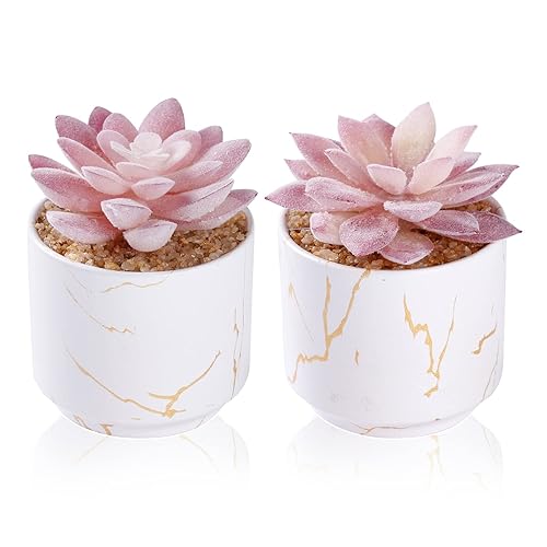 ZENIDA Plantes succulentes artificielles, Plantes Grasses dans 2 Pots en céramique Blanche, pour Bureau, Bureau, Salle de Bain, Chambre à Coucher, décoration de Bureau esthétique pour Femme - Blanc
