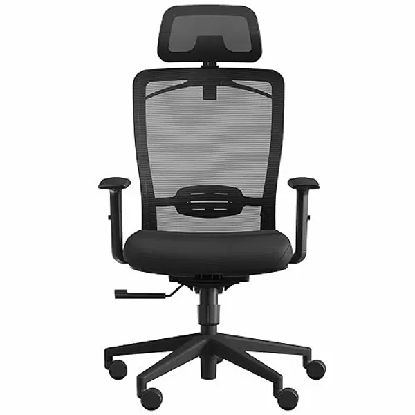 FitStand ErgoChair Pro P3 Ergonomic Office Chair, Swivel Computer Chair, Home Office Desk Chairs， with Lumbar Support/2D Headrest/300lbs Heavy Duty/Lockable Back,Comfy Foam Seat Cushion,Black - Black - P3-FOAM SEAT