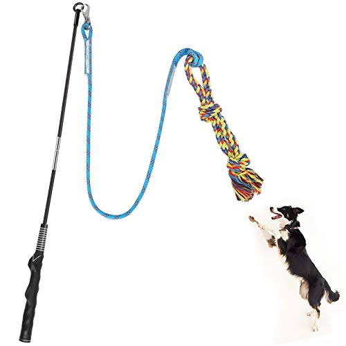 Meieke Flirt Pole Toy for Dogs, Pet Teaser Wand Outdoor Interactive Pet Dog Flirt Pole Training Exercise Rope Toy for Small Medium Large Dogs…… (Blue & Black) - blue & black