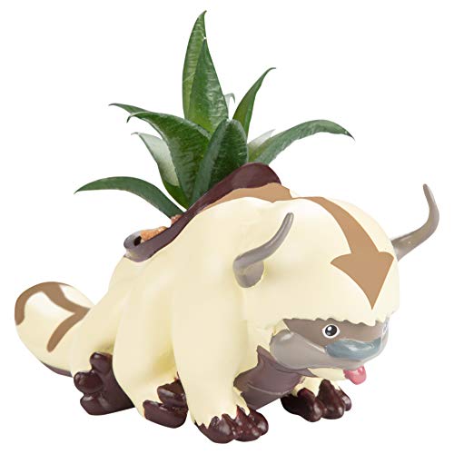 Avatar: The Last Airbender Appa Flying Bison Indoor Planter with Faux Succulent Plant - Resin - Officially Licensed Avatar Merch - Great Decor Gift for Teens, Adults, Women, Men - 6" x 2.5"