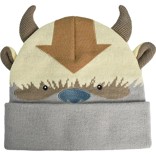 Avatar The Last Airbender Knitted Winter with Cuff Beanie Hat, Multi, One Size - Multi