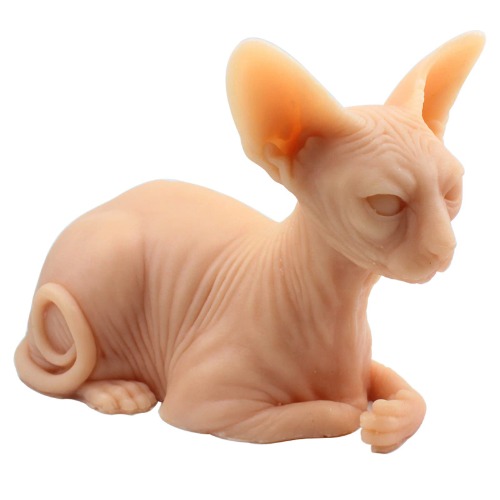 Silicone Cat Model Tattooable Sphynx Cat Model Life Sized Tattooing Fake Skin Body For Tattoo Practice and 3D Display Simulates Real Skin Premium Quality Realistic Silicone Model