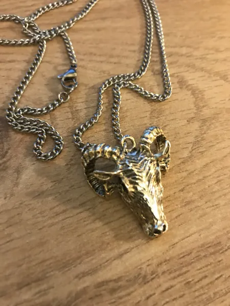 Antique Tibetan Silver Colour sheep Skull On Chain. Silver Colour Skull, Charm Pendant on Stainless Steel Chain. Ram Sheep Charm.